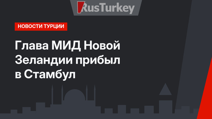 Глава МИД Новой Зеландии прибыл  в Стамбул