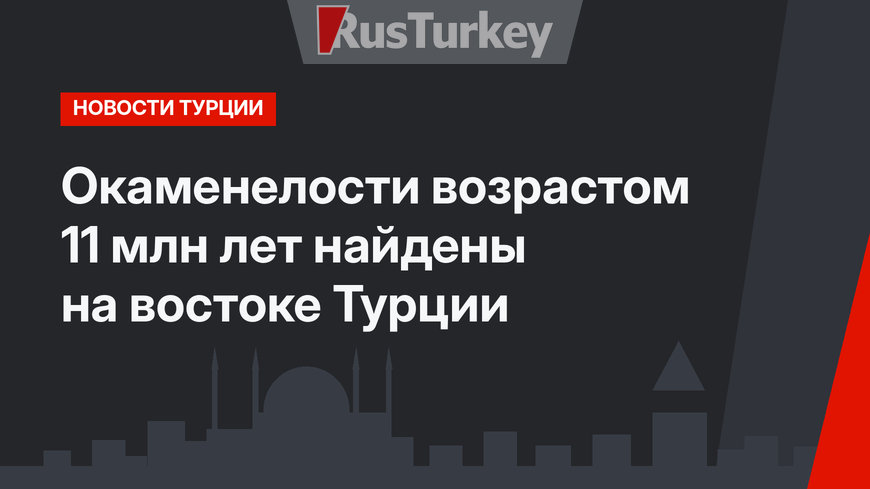 Окаменелости возрастом 11 млн лет найдены на востоке Турции