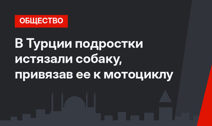 В Турции подростки истязали собаку, привязав ее к мотоциклу