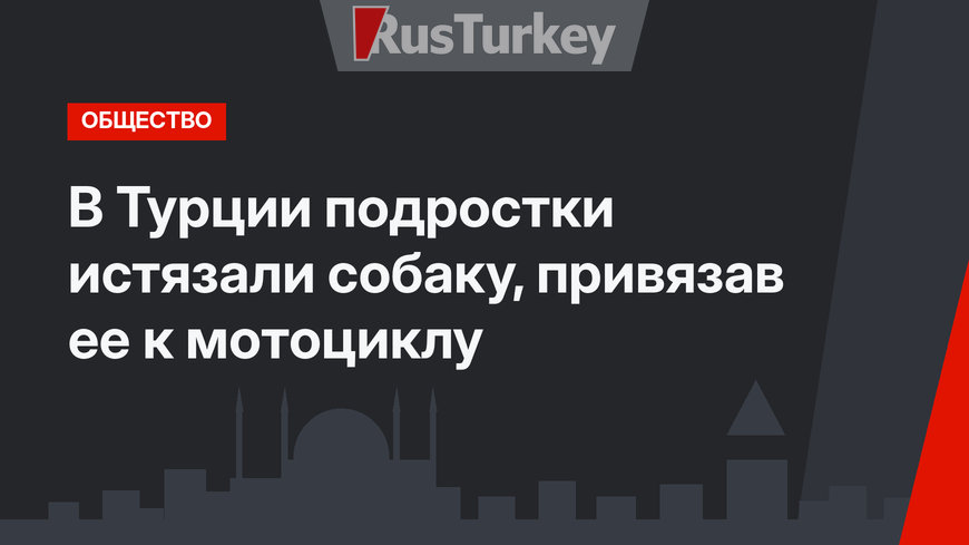 В Турции подростки истязали собаку, привязав ее к мотоциклу