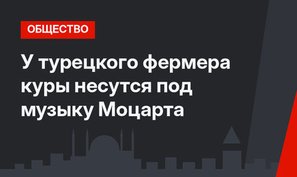 У турецкого фермера куры несутся под музыку Моцарта