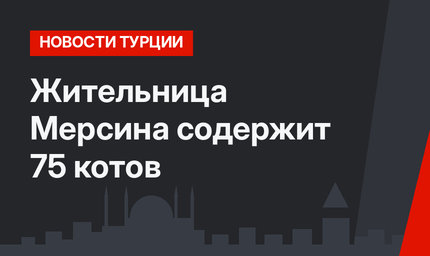 Жительница Мерсина содержит 75 котов