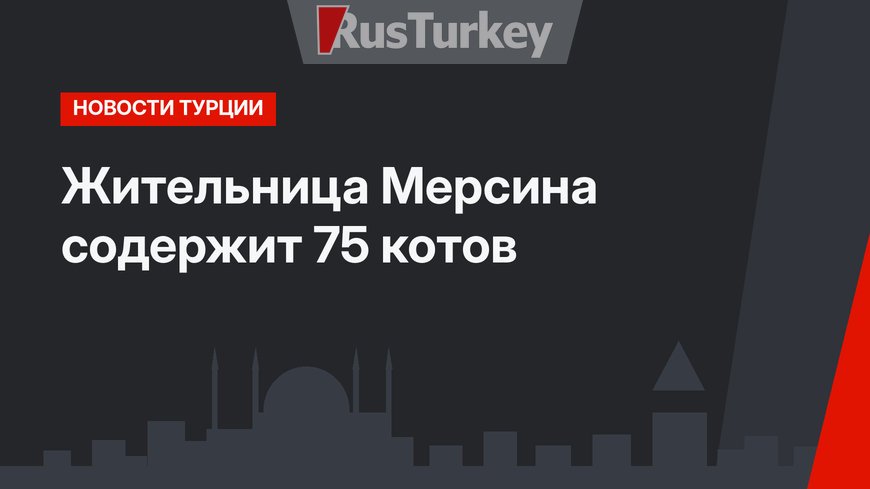 Жительница Мерсина содержит 75 котов