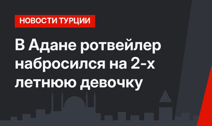 В Адане ротвейлер набросился на 2-х летнюю девочку