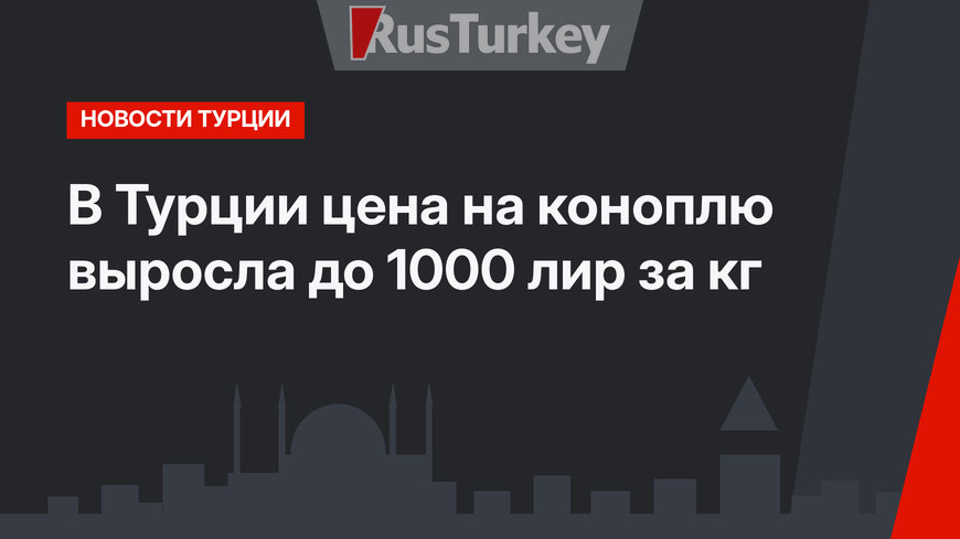 В Турции цена на коноплю выросла до 1000 лир за кг