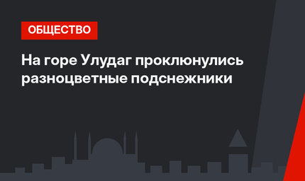 На горе Улудаг проклюнулись разноцветные подснежники