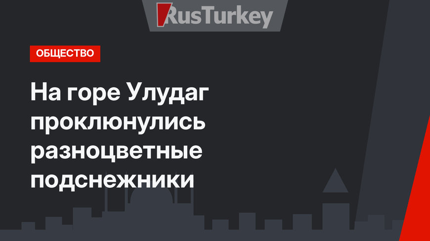 На горе Улудаг проклюнулись разноцветные подснежники