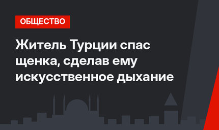 Житель Турции спас щенка, сделав ему искусственное дыхание