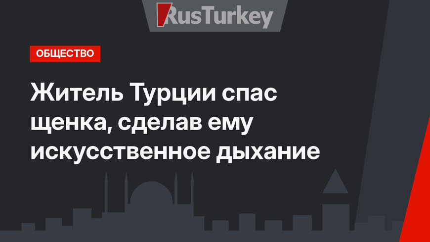 Житель Турции спас щенка, сделав ему искусственное дыхание