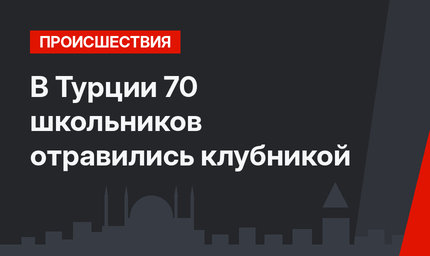 В Турции 70 школьников отравились клубникой