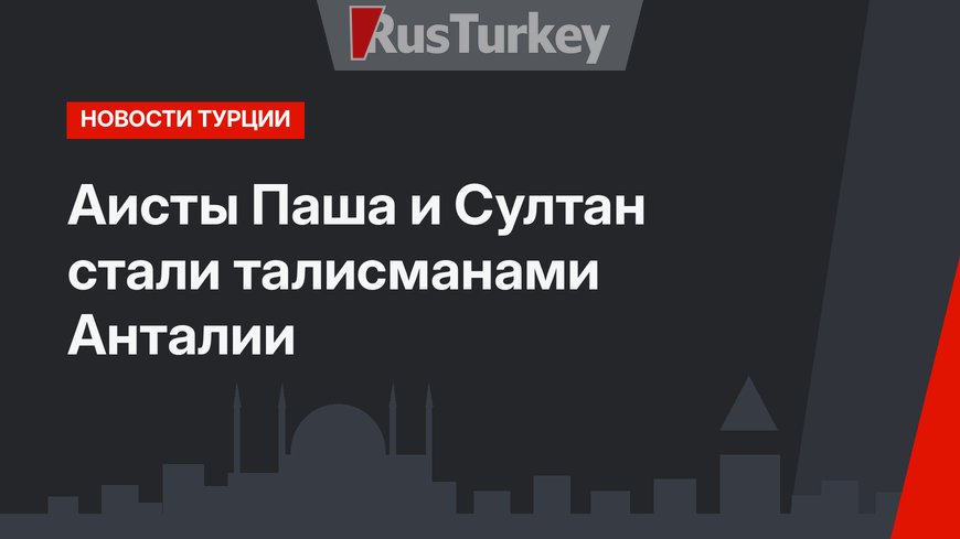 Аисты Паша и Султан стали талисманами Анталии