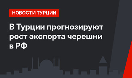 В Турции прогнозируют рост экспорта черешни в РФ