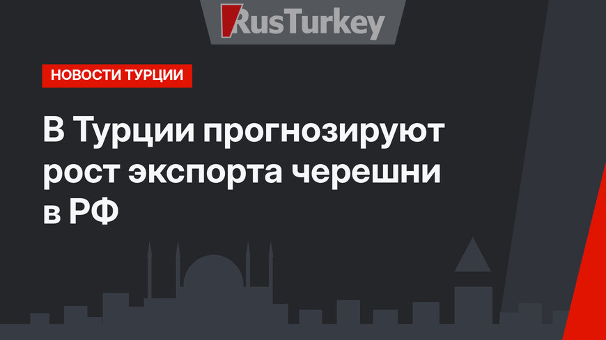 В Турции прогнозируют рост экспорта черешни в РФ
