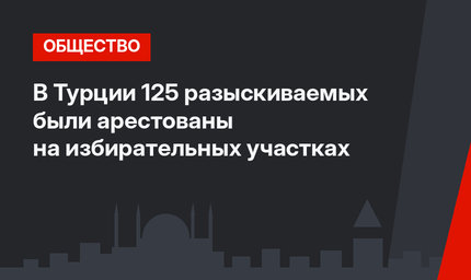 В Турции 125 разыскиваемых были арестованы на избирательных участках