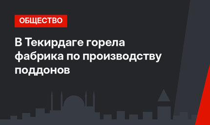 В Текирдаге горела фабрика по производству поддонов