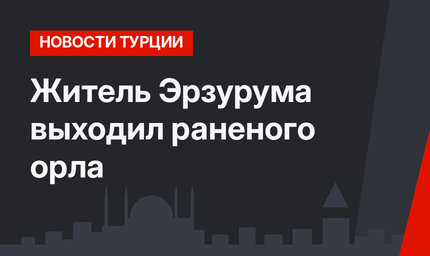 Житель Эрзурума выходил раненого орла