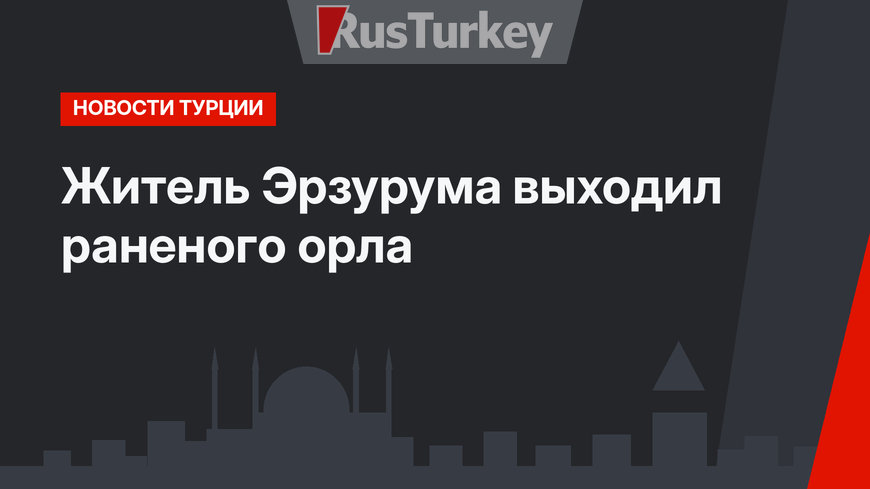 Житель Эрзурума выходил раненого орла