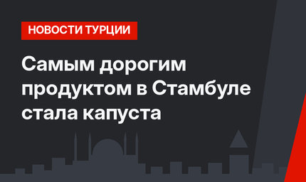 Самым дорогим продуктом в Стамбуле стала  капуста