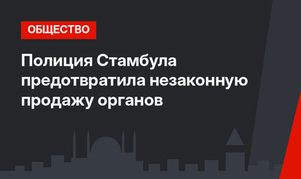 Полиция Стамбула предотвратила незаконную продажу органов