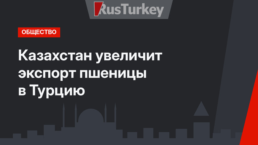 Казахстан увеличит экспорт пшеницы в Турцию