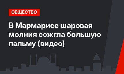 В Мармарисе шаровая молния сожгла большую пальму (видео)