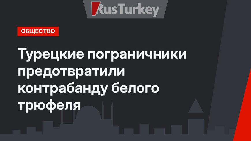 Турецкие пограничники предотвратили контрабанду белого трюфеля