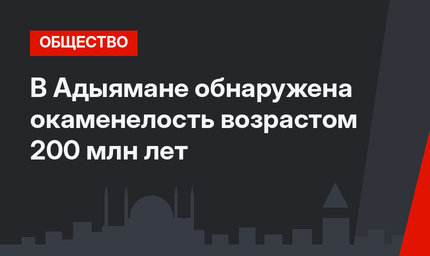 В Адыямане обнаружена окаменелость возрастом 200 млн лет