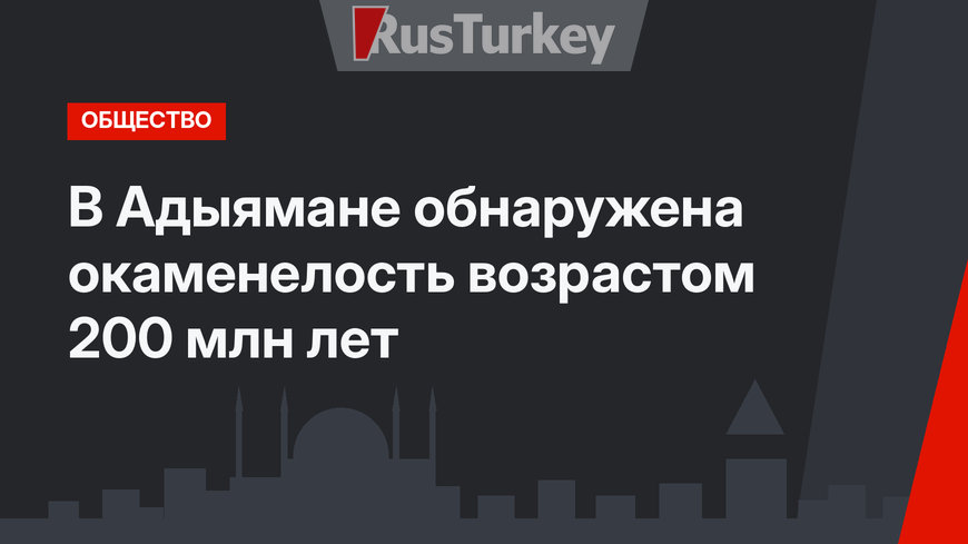 В Адыямане обнаружена окаменелость возрастом 200 млн лет
