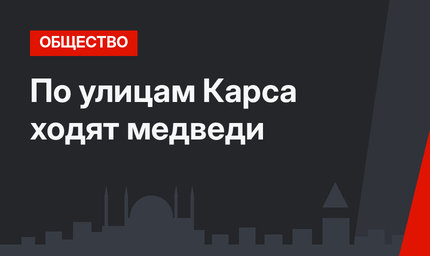 По улицам Карса ходят медведи