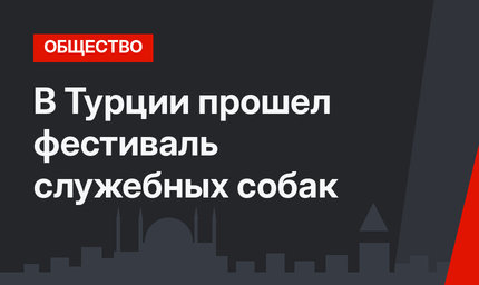 В Турции прошел фестиваль служебных собак