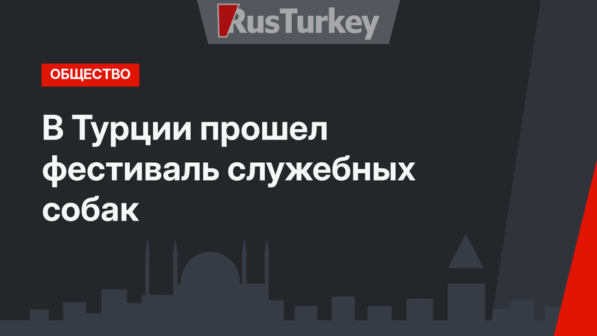 В Турции прошел фестиваль служебных собак