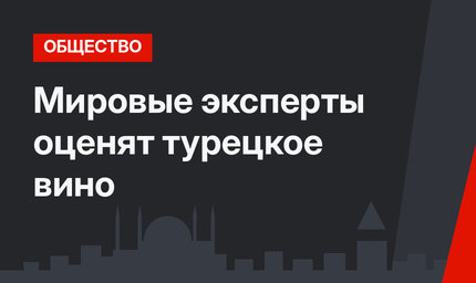 Мировые эксперты оценят турецкое вино