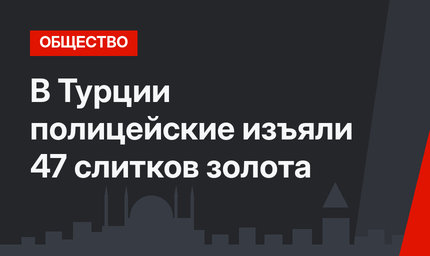 В Турции полицейские изъяли 47 слитков золота