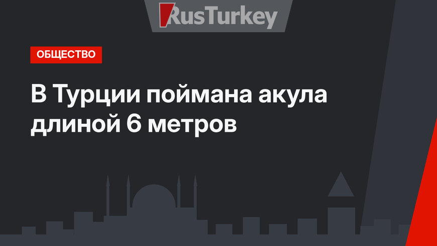 В Турции поймана акула длиной 6 метров