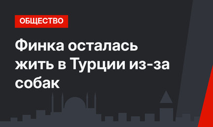 Финка осталась жить в Турции из-за собак