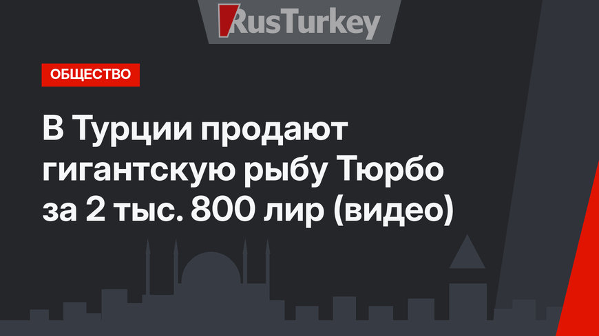 В Турции продают гигантскую рыбу Тюрбо за 2 тыс. 800 лир (видео)