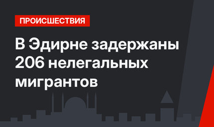 В Эдирне задержаны 206 нелегальных мигрантов