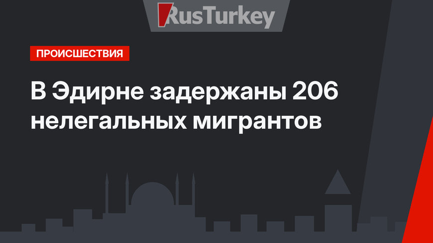 В Эдирне задержаны 206 нелегальных мигрантов
