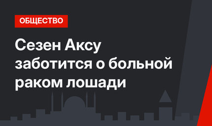 Сезен  Аксу  заботится о больной раком лошади