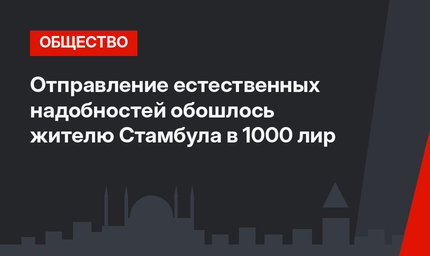 Отправление естественных надобностей обошлось жителю Стамбула в 1000 лир