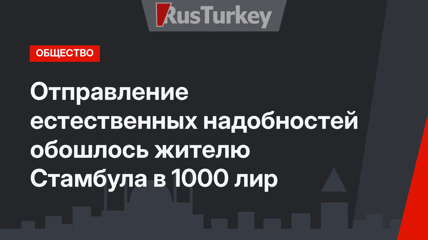 Отправление естественных надобностей обошлось жителю Стамбула в 1000 лир