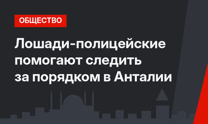 Лошади-полицейские помогают следить за порядком в Анталии 