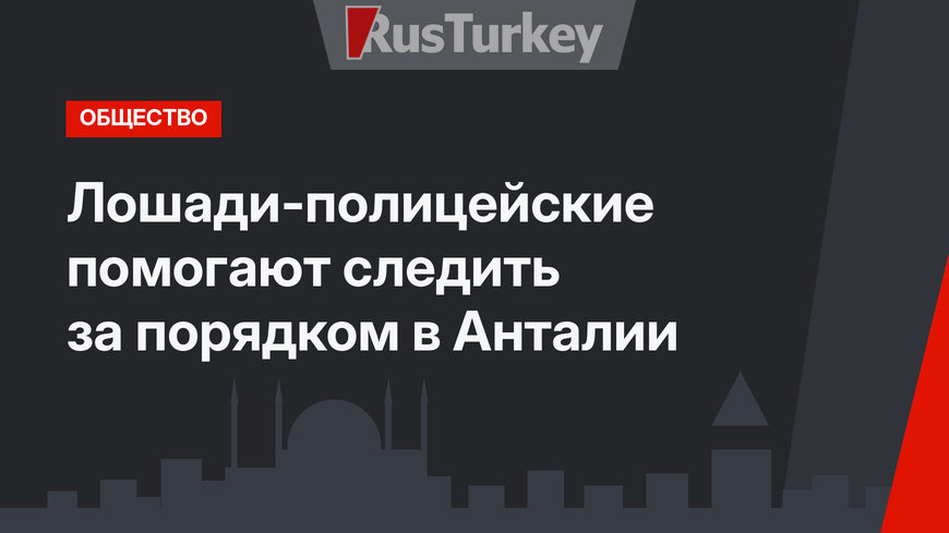 Лошади-полицейские помогают следить за порядком в Анталии 