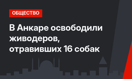 В Анкаре освободили живодеров, отравивших 16 собак