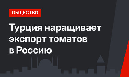 Турция наращивает экспорт томатов в Россию