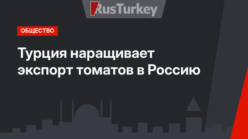 Турция наращивает экспорт томатов в Россию