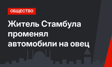 Житель Стамбула променял автомобили на овец