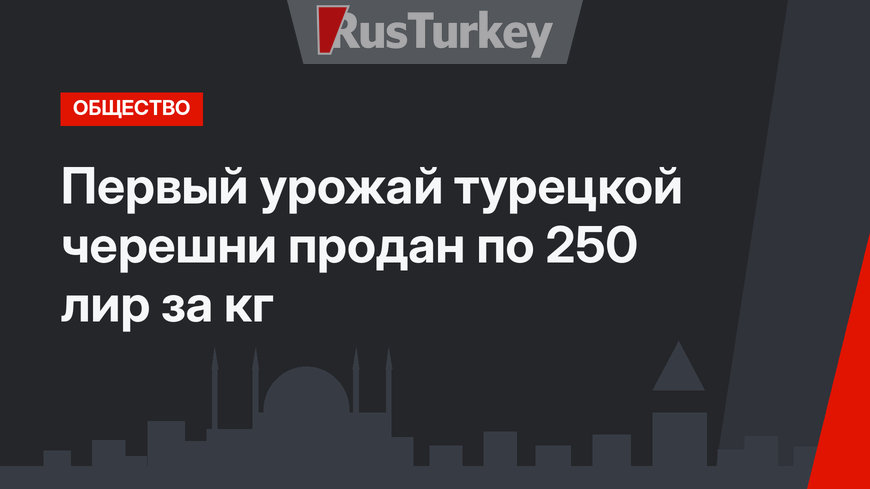 Первый урожай турецкой черешни продан по 250 лир за кг