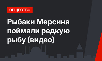 Рыбаки Мерсина поймали редкую рыбу (видео)