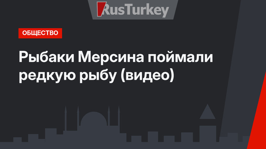 Рыбаки Мерсина поймали редкую рыбу (видео)
